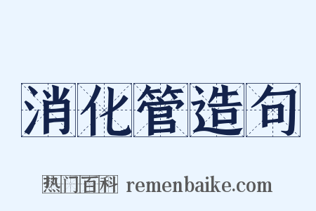 消化管造句是什么意思的图片